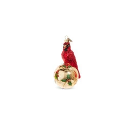 Raz Eric Cortina 5" Elegant Cardinal Glass Christmas Ornament 4353115 -Online Christmas Decoration 4353115b 39734.1689693000