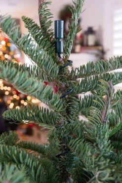 Village Lighting Universal Christmas Tree Topper Holder V-11103 -Online Christmas Decoration apiylnmow 47410.1646091960